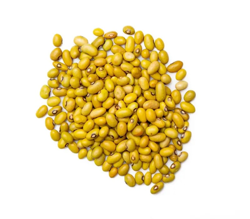 Field of yellow beans